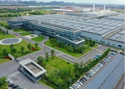 高凈值家庭標準公布 中國211萬戶達標，生物技術(shù)開發(fā)成財富增長新引擎