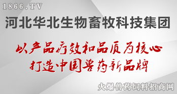 華北生物 聚焦生物技術開發，守護健康——病毒性疾病的防治原則與前沿實踐